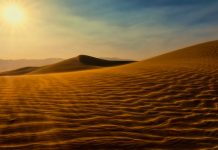 Parlare col silenzio?