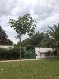 13672076_10153946211709164_641920670_n