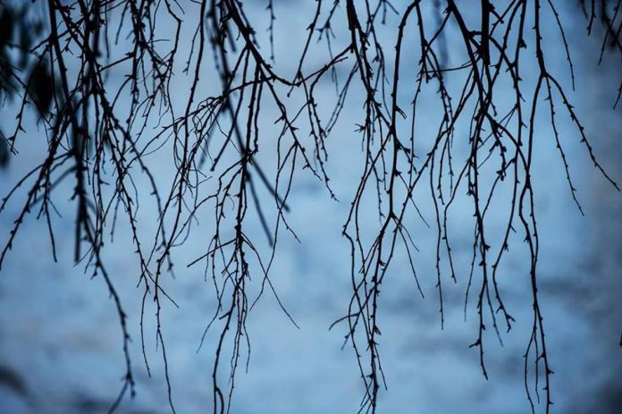 16358393_10154890886429854_1840864482_n