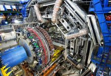 La scoperta delle 5 particelle spiegata da Nicola Paradiso, l’andriese ricercatore all’Università di Ratisbona