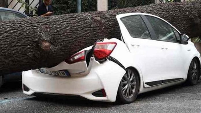 alberi_caduti_a_roma_640_ori_crop_master__0x0_640x360