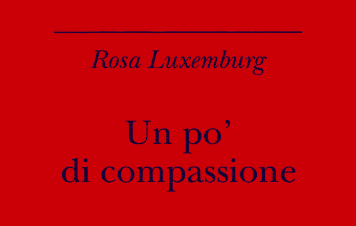 Senza titolo