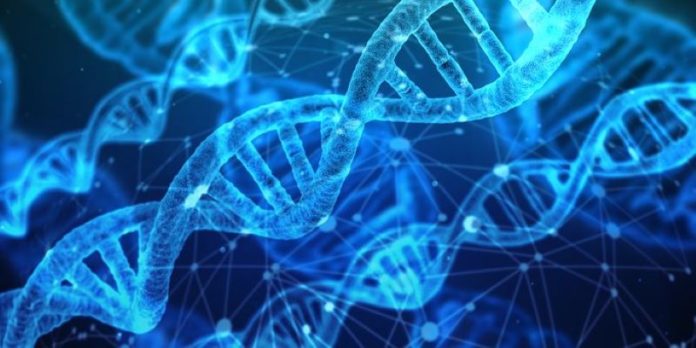 dna-3539309__340