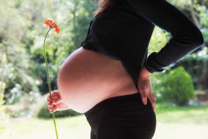 pregnant-woman-1130612__340