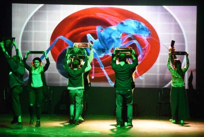 43851690_2039487696072201_8407479381923987456_n