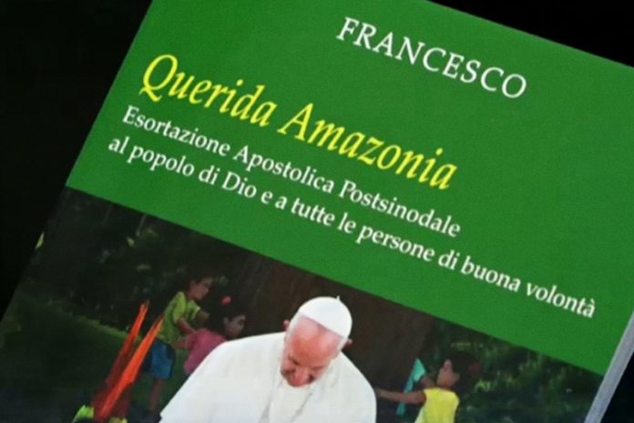 Querida-Amazonia-1