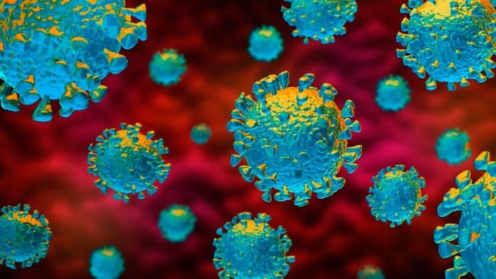 dt_200221_covid_19_coronavirus_800x450-1