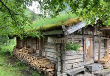 Il panificio fai da te made in Norvegia