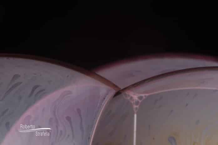 C4339E15-009E-4544-8957-35B9189CA790