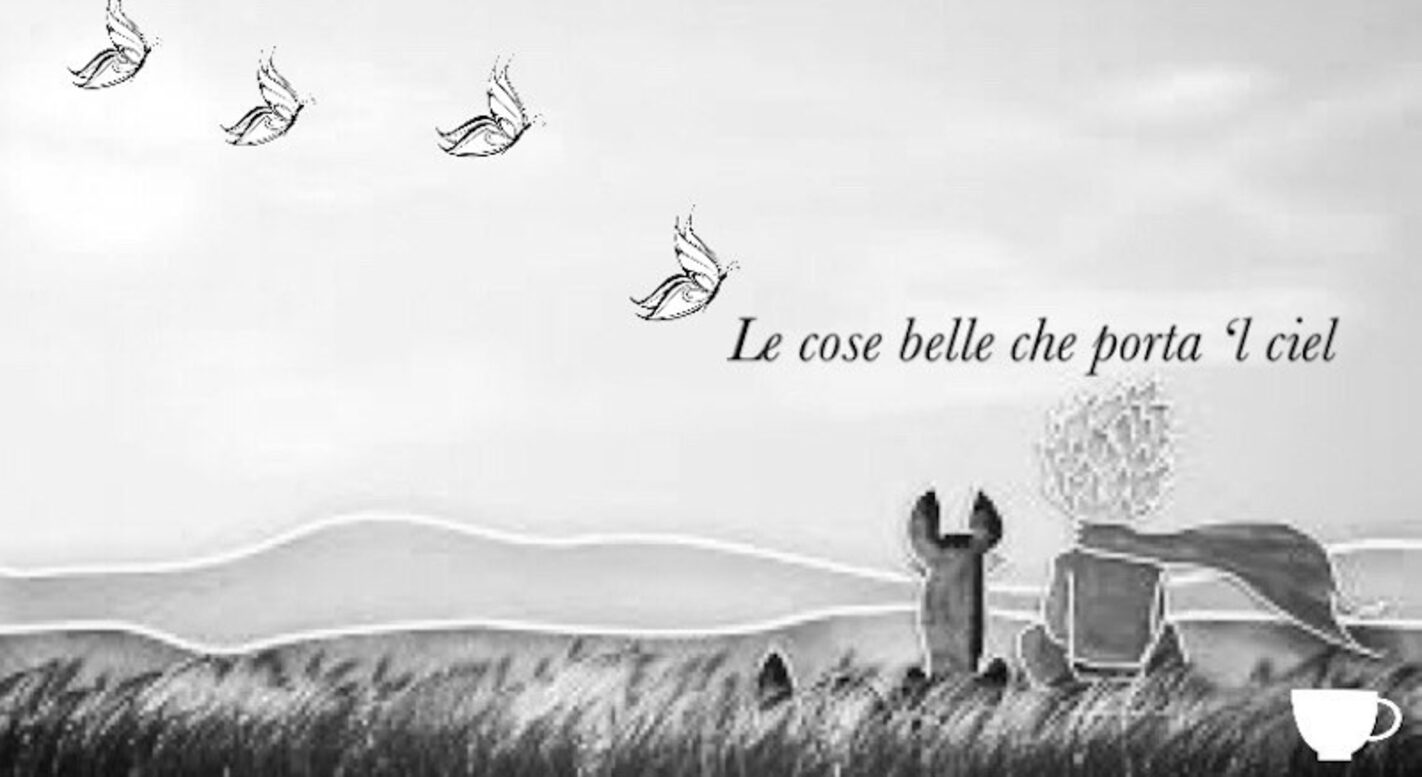 le cose belle