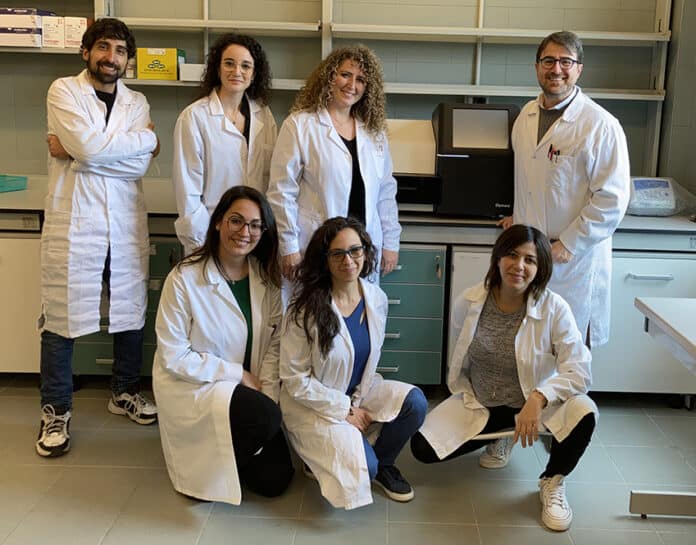 Gruppo lavoro prof. Ventura