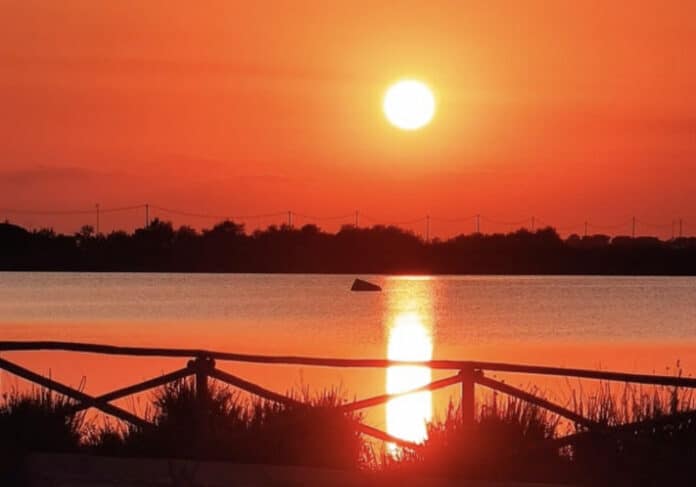 image-07-07-22-09-40