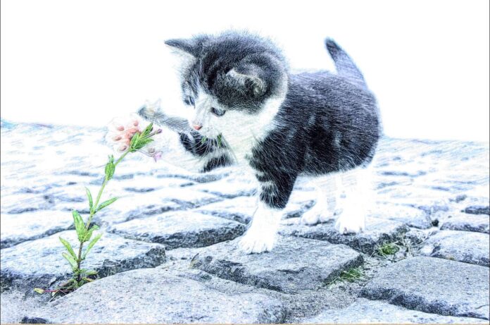 photo_2022-07-08 09.20.16