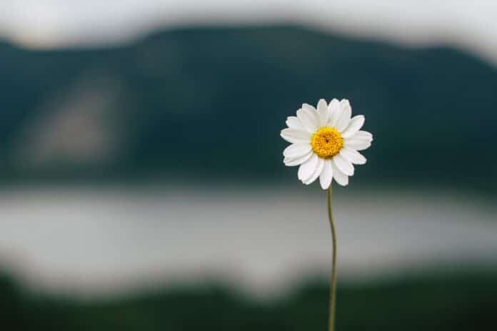 berkan-kucukgul-TIM2WIFyGa4-unsplash