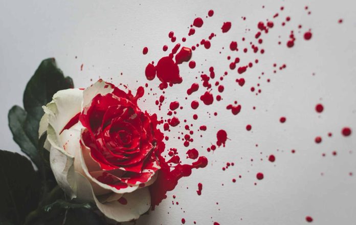 alexandre-boucey-YExN_WgILhE-unsplash