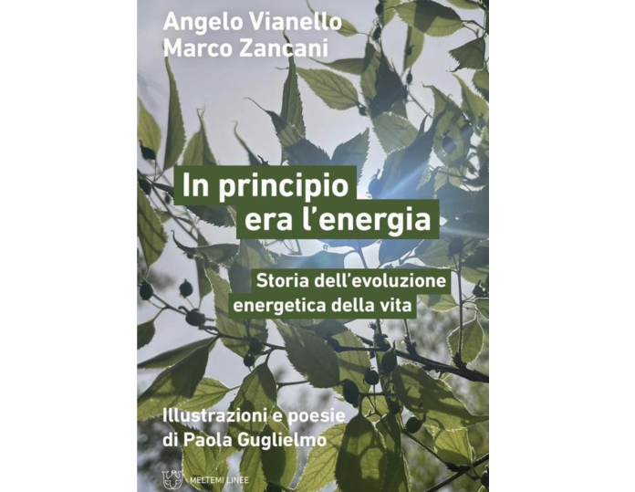 In principio era l’energia. Storia dell’evoluzione energetica della vita