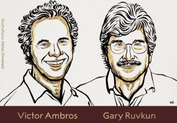 Nobel per la Medicina a Victor Ambros e Gary Ruvkun
