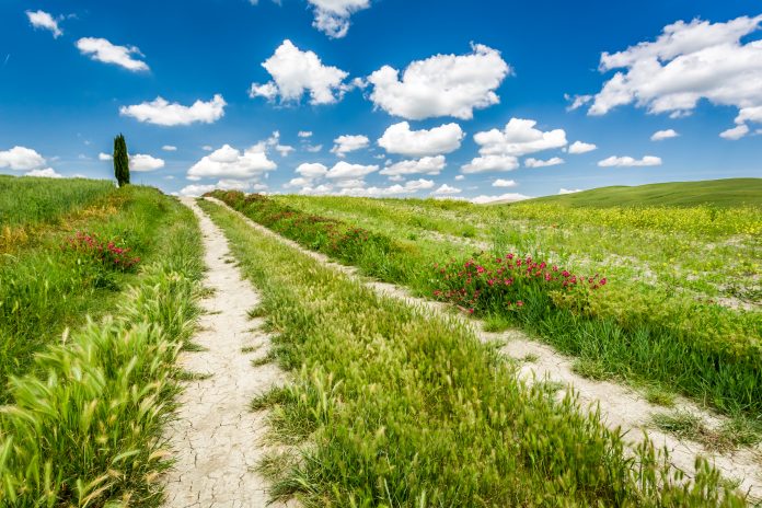 Green fields and meadows in Tuscany