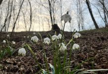 Si esplode davanti a chi si ama