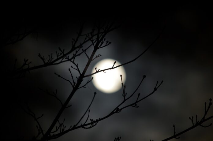 nature-3229272_1280