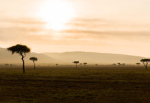 La vita è un gran regalo