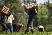 Lavoro femminile sommerso e intersezionalità