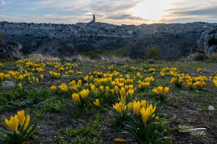 PHOTO-2025-10-14-07-45-38