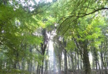 La preghiera d’autunno