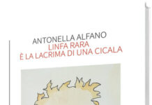 Linfa rara è la lacrima di una cicala