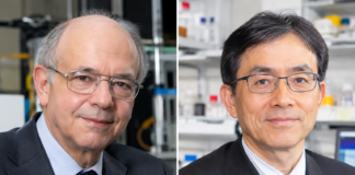 Premio Nobel per la Chimica 2026 a Kagan e Soai