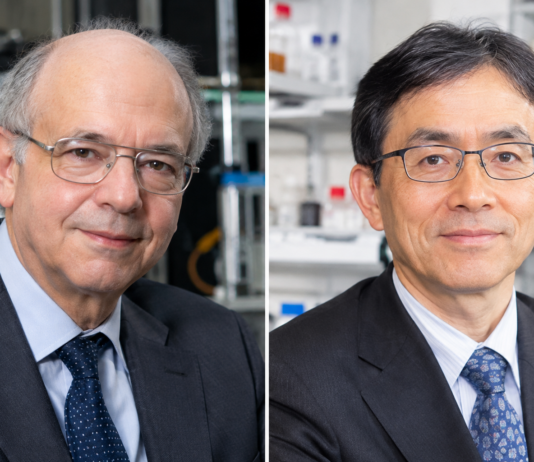 Premio Nobel per la Chimica 2026 a Kagan e Soai